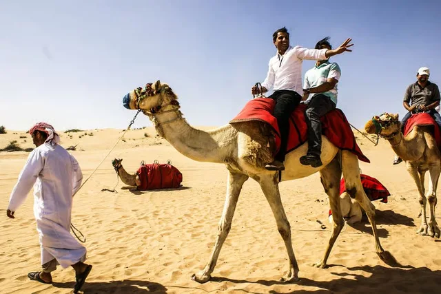 Rote Dünen in Lahbab: Safari, Kamel und Sandboarding – Aufnahme zum Erlebnis – Bild 9