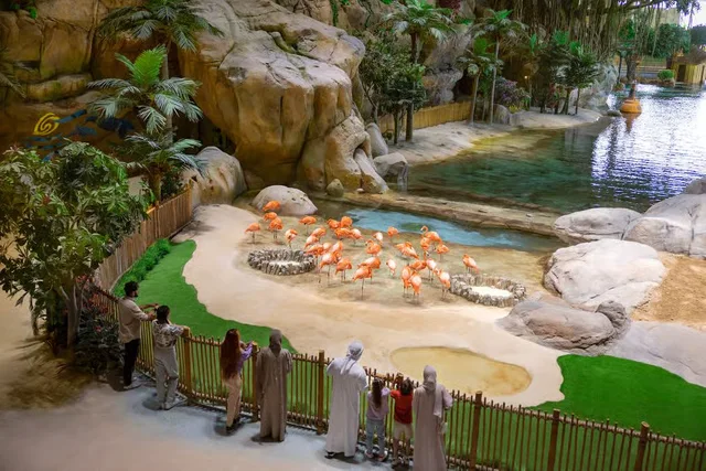 SeaWorld Abu Dhabi Tickets: Single-Day General Admission experience in Abu Dhabi
