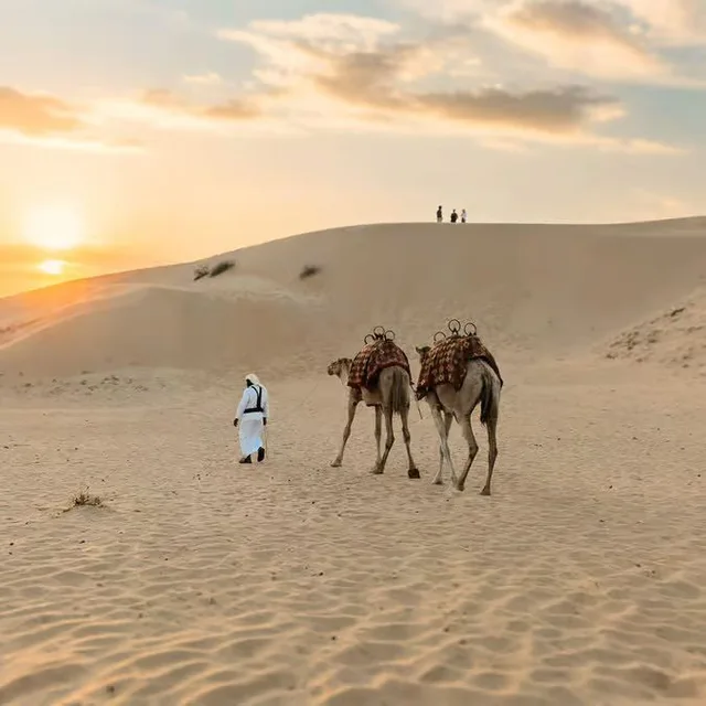 Abu Dhabi Abendsafari mit Campaktivitäten und Grillbuffet – Aufnahme zum Erlebnis – Bild 3