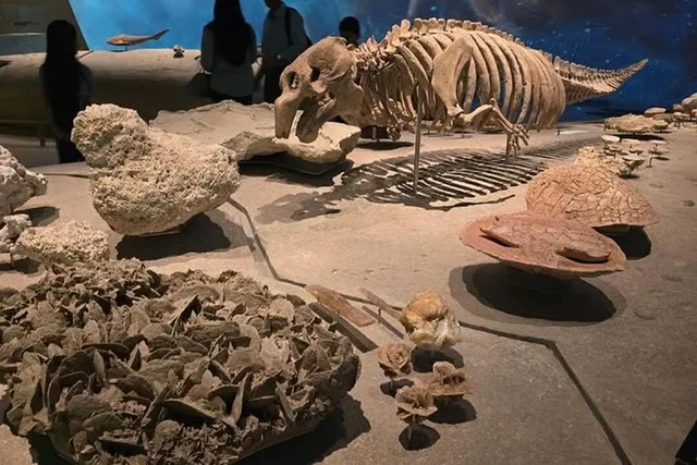 Doha Museumstag: Kunst, Geschichte und passende Eintritte – Aufnahme zum Erlebnis – Bild 13