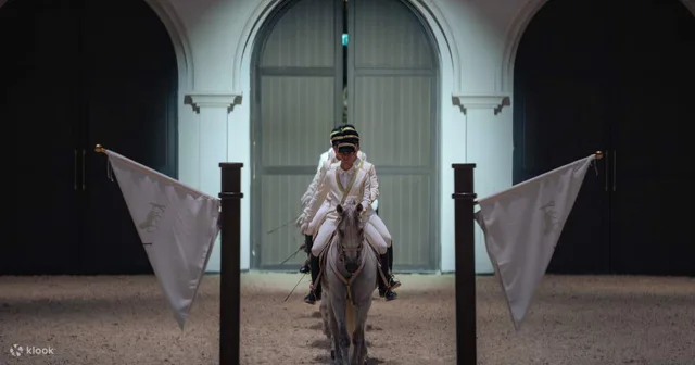 Furusiyya in Abu Dhabi: ADREA-Reitshow mit Silver-Sitzplatz – Aufnahme zum Erlebnis – Bild 12