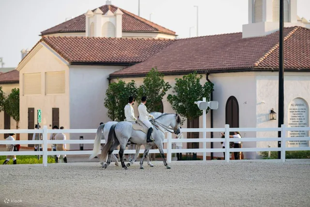 Furusiyya in Abu Dhabi: ADREA-Reitshow mit Silver-Sitzplatz – Aufnahme zum Erlebnis – Bild 8