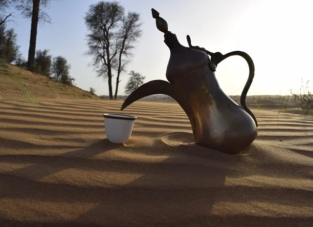 The Dunes: Wüstensafari mit Grillabend – Aufnahme zum Erlebnis – Bild 3