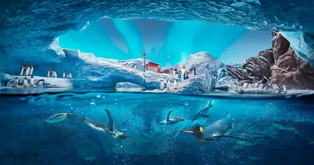 SeaWorld Abu Dhabi: Tagesticket für den Meeres-Themenpark – Aufnahme zum Erlebnis – Bild 7