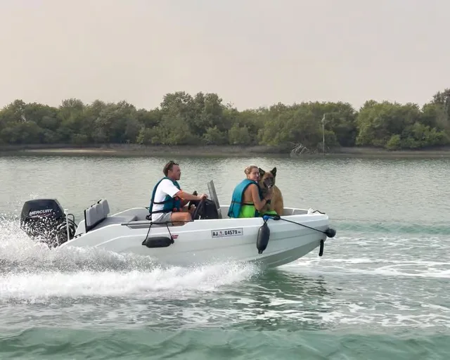 Yas Island: privates Boot für eine Stunde selbst fahren – Aufnahme zum Erlebnis – Bild 12