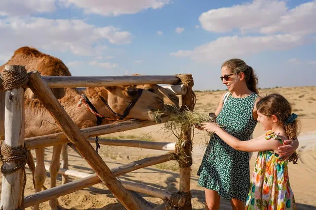 Dubai Wüstensafari: Dünen, Kamelritt und Buggy-Option – Aufnahme zum Erlebnis – Bild 10
