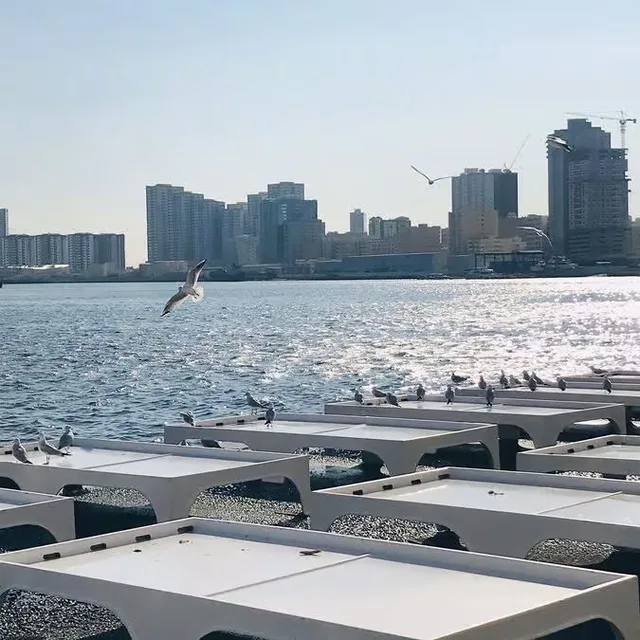Ajman Halbtagestour: Museum, Corniche und Kulturerbe – Aufnahme zum Erlebnis – Bild 7