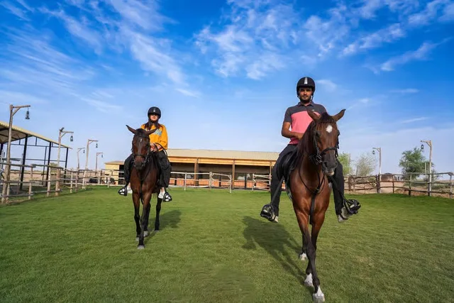 Reiten in Al Marmoom: kurze Reiteinheit und Erfrischungen – Aufnahme zum Erlebnis – Bild 10