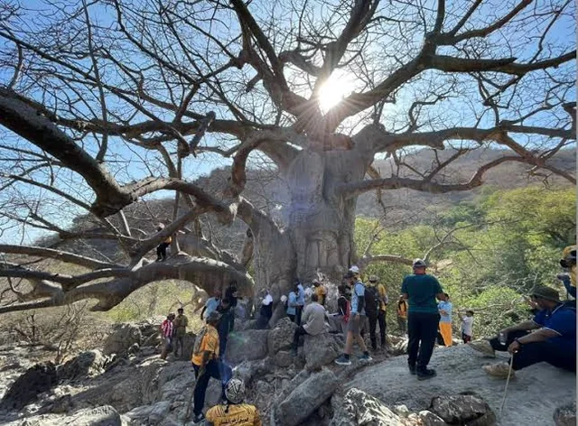 Ostsalalah halbtags: Sumhuram, Taqah und Wadi Darbat – Aufnahme zum Erlebnis – Bild 5