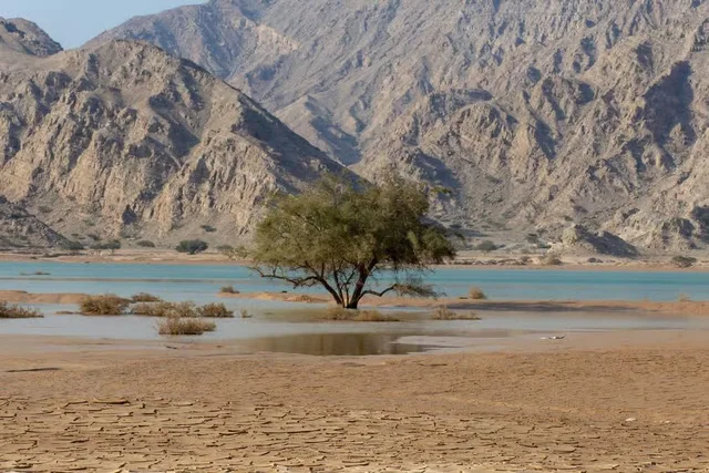 Private Jebel-Jais-Bergfahrt mit Aussichtshalten – Aufnahme zum Erlebnis – Bild 6