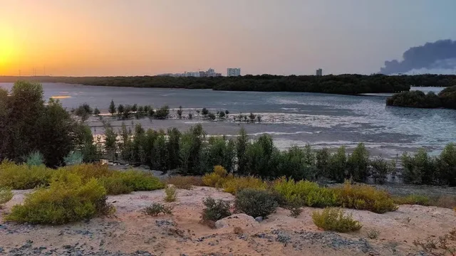 Ajman Halbtagestour: Museum, Corniche und Kulturerbe – Aufnahme zum Erlebnis – Bild 3
