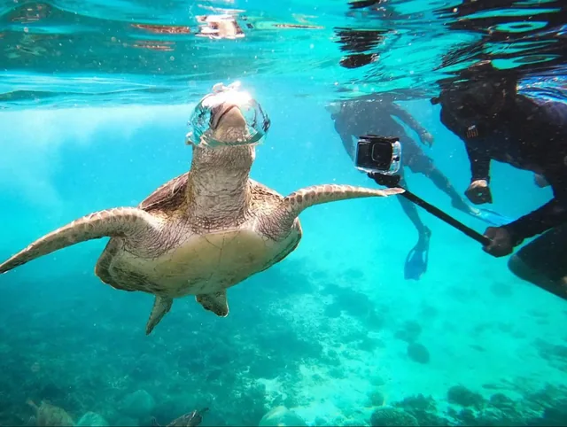 Daymaniat Islands Snorkeling with Brunch