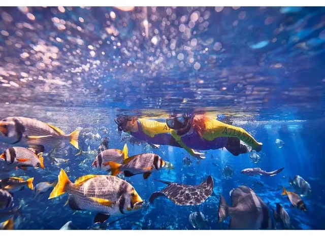 Dubai Aquarium und Underwater Zoo: Ticketvarianten vergleichen – Aufnahme zum Erlebnis – Bild 12