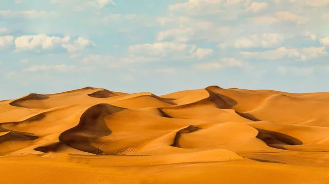 Rote Dünen in Lahbab: Safari, Kamel und Sandboarding – Aufnahme zum Erlebnis – Bild 10