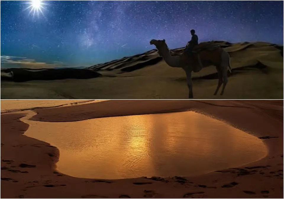 Doha Nachtsafari: Wüstenfahrt und Sternenhimmel – Aufnahme zum Erlebnis