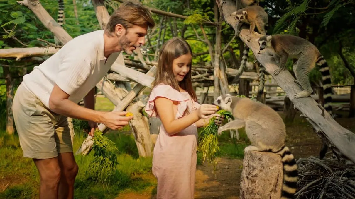 Dubai Safari Park: Eintritt oder Explorer-Paket – Aufnahme zum Erlebnis