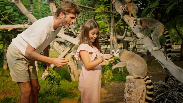 Dubai Safari Park Tickets: Park Pass & Explorer Safari Bundle experience in Dubai