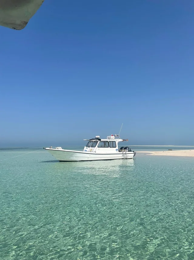 Jarada Island: privater Bootsausflug zur Sandbank – Aufnahme zum Erlebnis – Bild 3