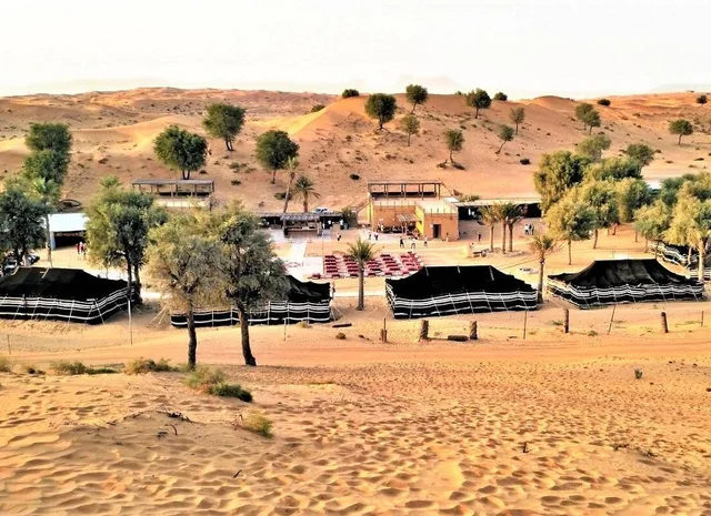 Bedouin Oasis: Abendsafari mit Dünenfahrt und Grillessen – Aufnahme zum Erlebnis – Bild 13