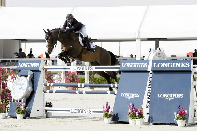 Furusiyya in Abu Dhabi: ADREA-Reitshow mit Silver-Sitzplatz – Aufnahme zum Erlebnis – Bild 5