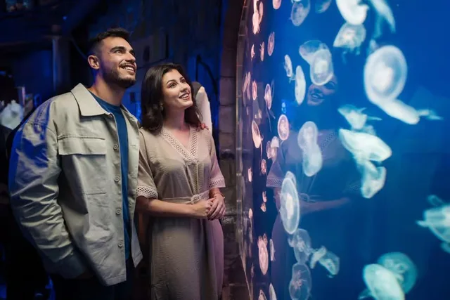 Dubai Aquarium und Underwater Zoo: Ticketvarianten vergleichen – Aufnahme zum Erlebnis – Bild 2