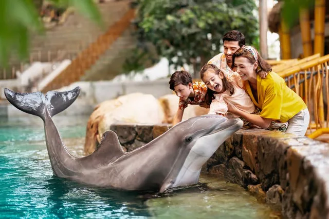 SeaWorld Abu Dhabi: Tagesticket für den Meeres-Themenpark – Aufnahme zum Erlebnis – Bild 18