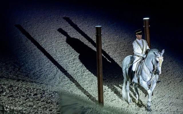 Furusiyya in Abu Dhabi: ADREA-Reitshow mit Silver-Sitzplatz – Aufnahme zum Erlebnis – Bild 13