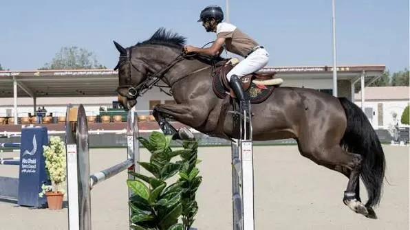 Al Forsan Horse Riding Abu Dhabi: 20-Minute Ride experience in Abu Dhabi