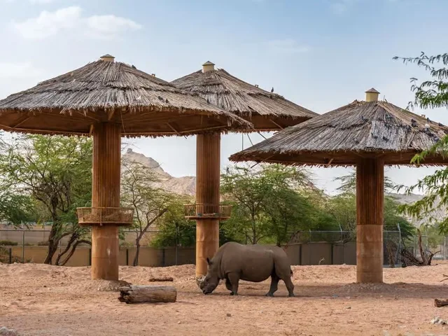 Al Ain Zoo: Eintritt, Safari Truck und privates Safari-Fahrzeug – Aufnahme zum Erlebnis – Bild 3
