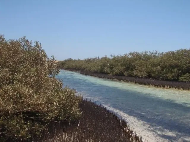 Sharm: Mangrove, Magic Lake, Earthquake Crack & Snorkelling by Bus — photo 20