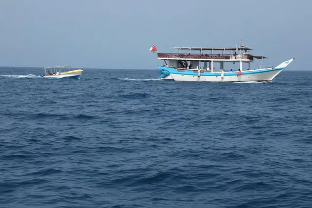 Khasab Musandam: Dhau-Ausflug ab Ras Al Khaimah – Aufnahme zum Erlebnis – Bild 8