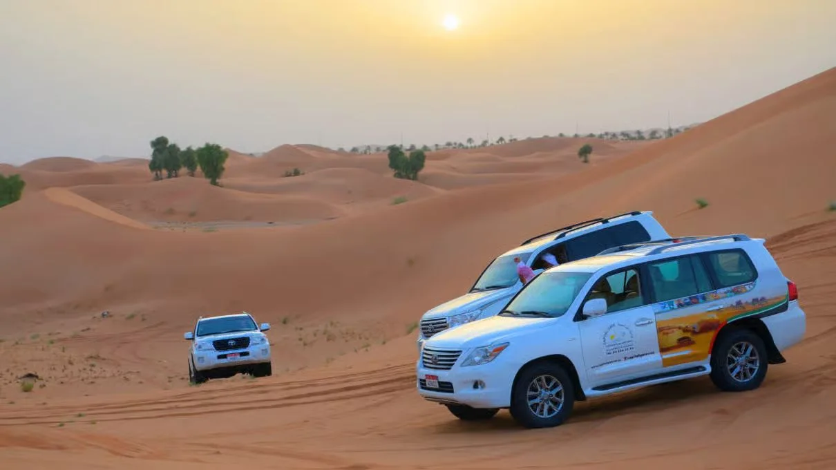Abu Dhabi Abendsafari mit Campaktivitäten und Grillbuffet – Aufnahme zum Erlebnis