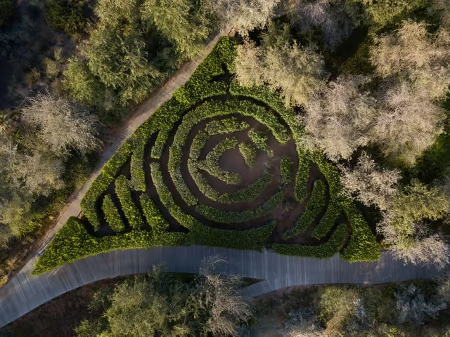 Al Noor Island: Insel und Schmetterlingshaus entdecken – Aufnahme zum Erlebnis – Bild 16