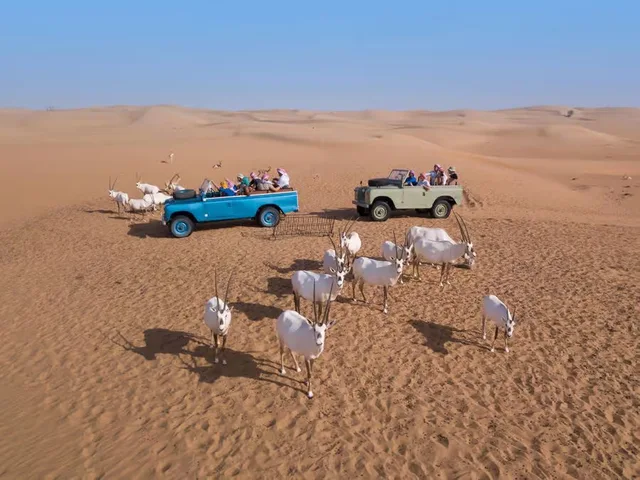 Heritage-Wüstensafari Dubai: Land Rover und Abendessen – Aufnahme zum Erlebnis – Bild 12