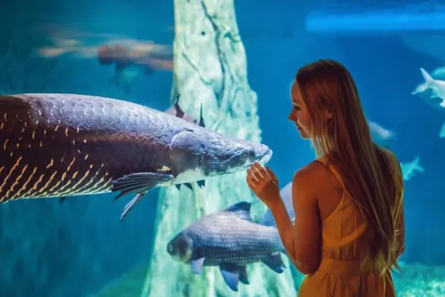 Dubai Aquarium und Underwater Zoo: Ticketvarianten vergleichen – Aufnahme zum Erlebnis – Bild 8