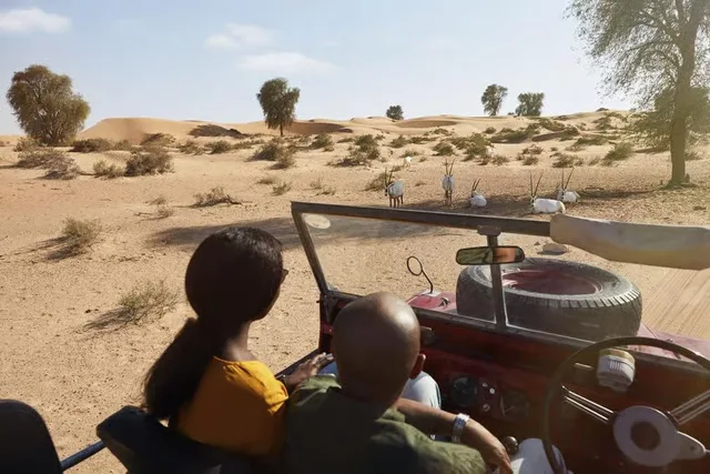 Heritage-Wüstensafari Dubai: Land Rover und Abendessen – Aufnahme zum Erlebnis – Bild 13