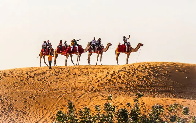 Rote Dünen in Lahbab: Safari, Kamel und Sandboarding – Aufnahme zum Erlebnis – Bild 7