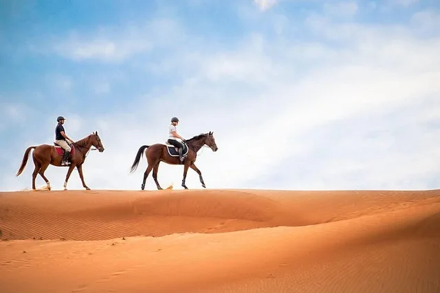 Reiten bei Doha: Wüstenroute mit Transfers – Aufnahme zum Erlebnis – Bild 7