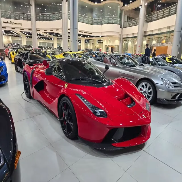 Dubai Supersportwagen: geführte Showroom-Tour – Aufnahme zum Erlebnis – Bild 3