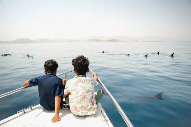 Dolphin Watching Boat Tour