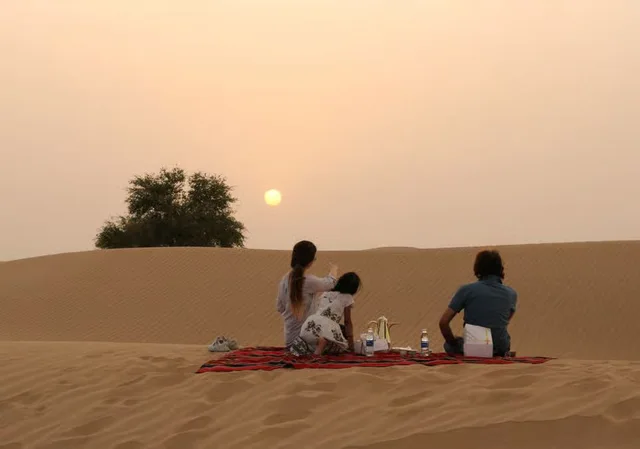 Private Morgensafari Dubai: Dünen, Al Qudra und Tierbeobachtung – Aufnahme zum Erlebnis – Bild 18