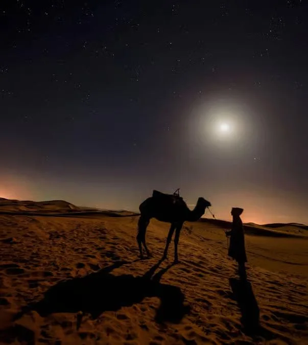 Doha Nachtsafari: Wüstenfahrt und Sternenhimmel – Aufnahme zum Erlebnis – Bild 5