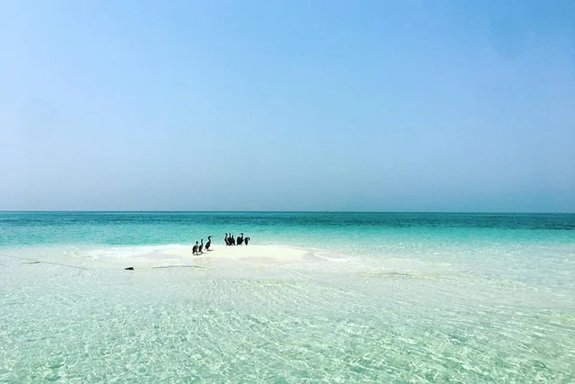 Jarada Island: privater Bootsausflug zur Sandbank – Aufnahme zum Erlebnis – Bild 6