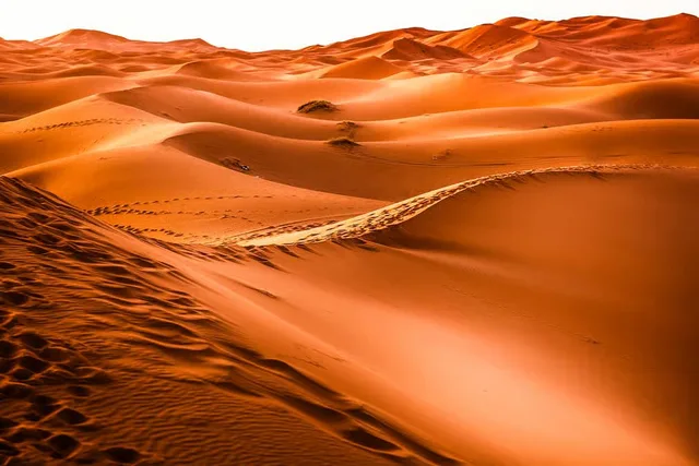 Rote Dünen in Lahbab: Safari, Kamel und Sandboarding – Aufnahme zum Erlebnis – Bild 16