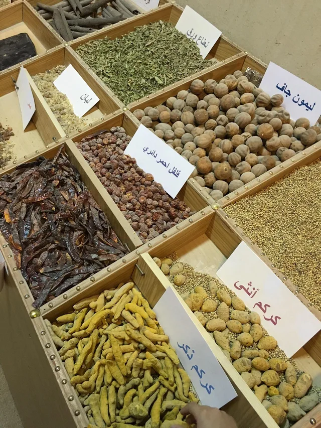 Hili und Al Qattara: private Kulturroute in Al Ain – Aufnahme zum Erlebnis – Bild 2