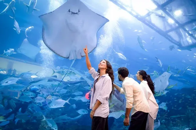 Dubai Aquarium & Underwater Zoo Tickets: Silver, Gold & Encounters experience in Dubai