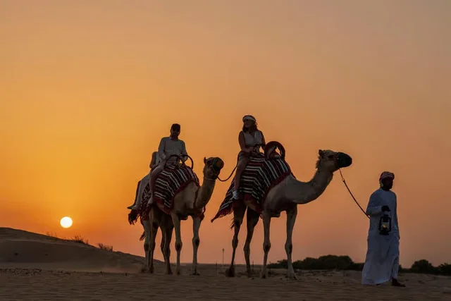 Dubai Abendsafari: Al Marmoom und Sterne beobachten – Aufnahme zum Erlebnis – Bild 15