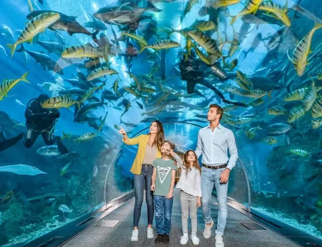 Dubai Aquarium und Underwater Zoo: Ticketvarianten vergleichen – Aufnahme zum Erlebnis – Bild 5