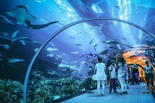Dubai Aquarium und Underwater Zoo: Ticketvarianten vergleichen – Aufnahme zum Erlebnis – Bild 13