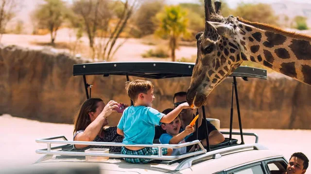Al Ain Zoo: Eintritt, Safari Truck und privates Safari-Fahrzeug – Aufnahme zum Erlebnis – Bild 22